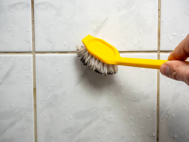 Best Commercial Mold Removal  in West Plains, MO